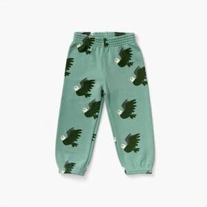 NEW LEWIS boy's eagle sweatpants in green